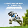 Adjustable Nylon Vest Harness with Magnetic Closure for Small Dogs