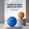Interactive Automatic Bouncing Dog Toy Ball