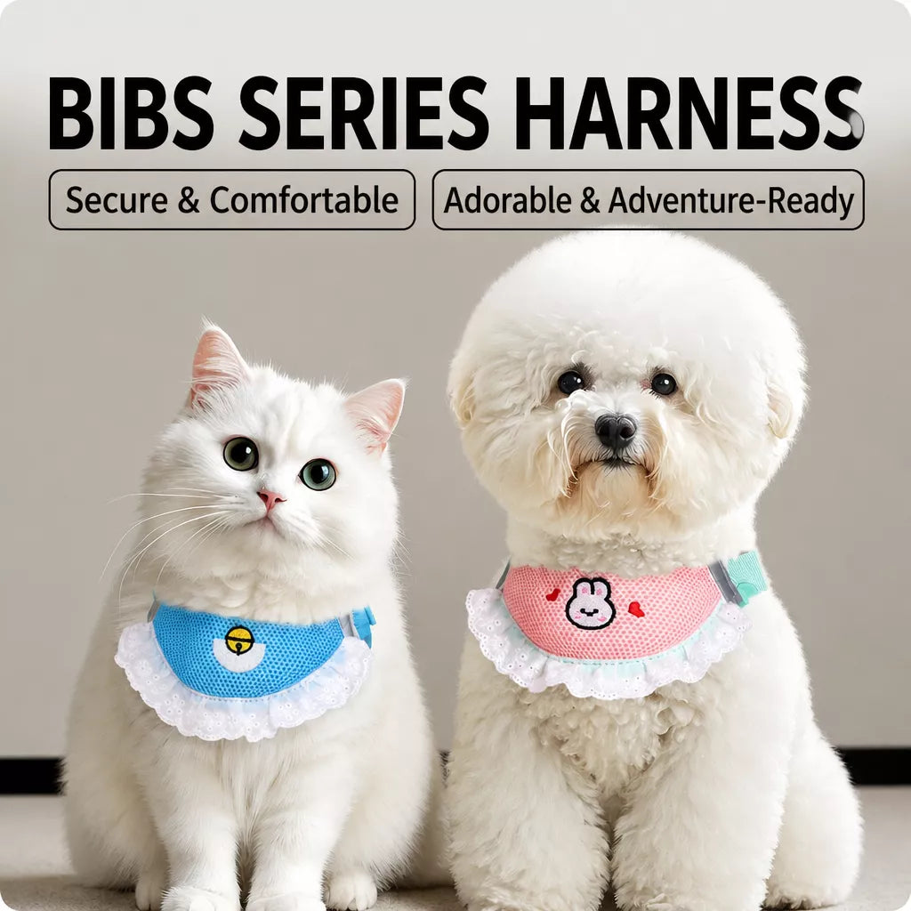 Nylon Dog & Cat Harness and Leash for Everyday Walks