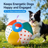 Giant Interactive Fetch & Tug Toy Ball for Medium and Large Dogs