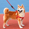 Adjustable Nylon Dog Harness with Leash Option