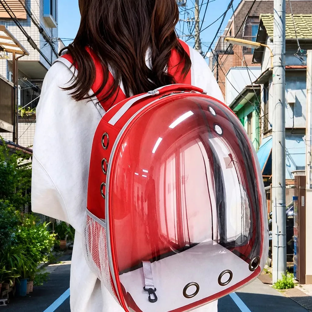 Transparent Pet Carrier Backpack for Cats and Small Dogs