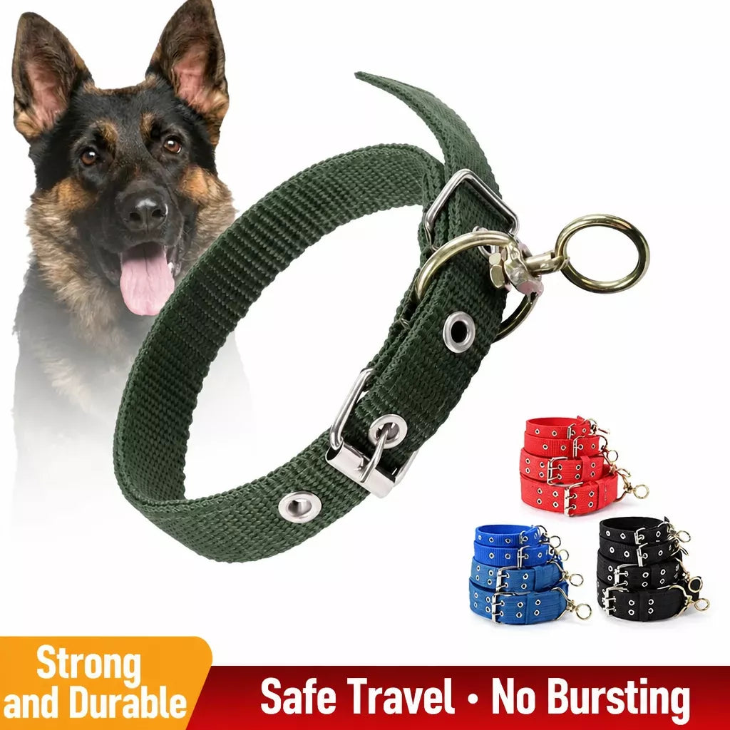 Nylon Dog Collar for Small to Large Dogs