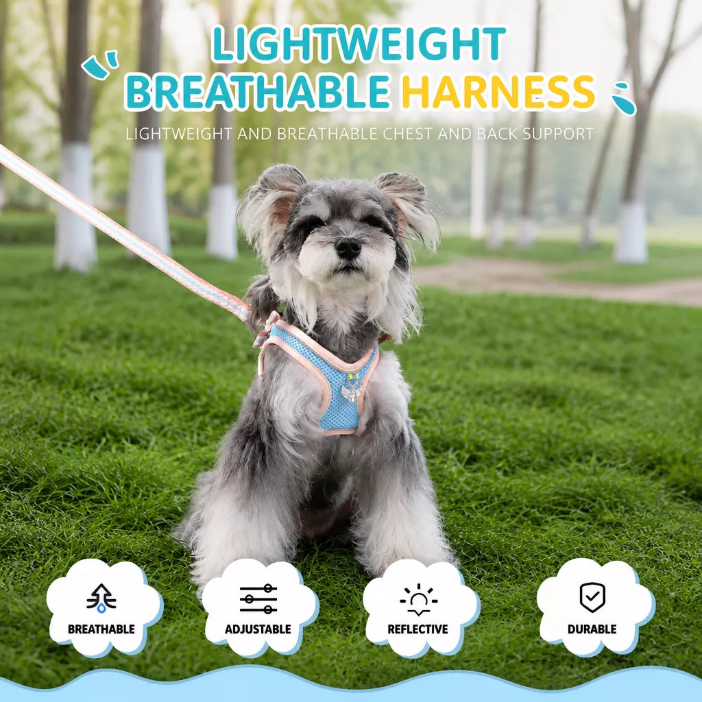 Adjustable Dog Harness with 4.6-ft Leash for Small Dogs