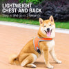 Small Dog Harness and Leash Set