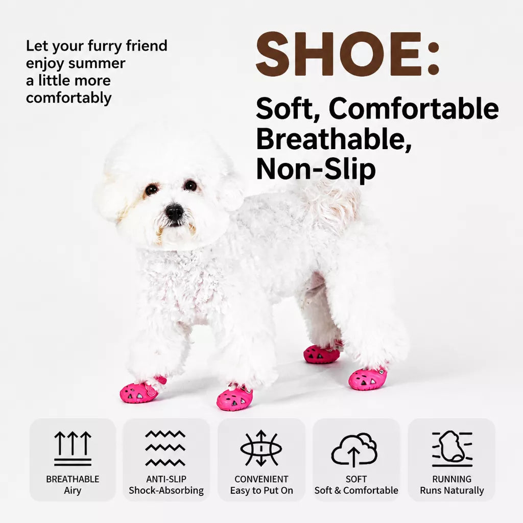 Dog Clog-Style Shoes for Outdoor Walks