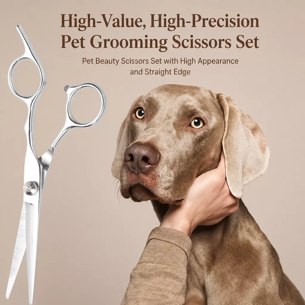 Stainless Steel Pet Grooming Scissors & Comb Set