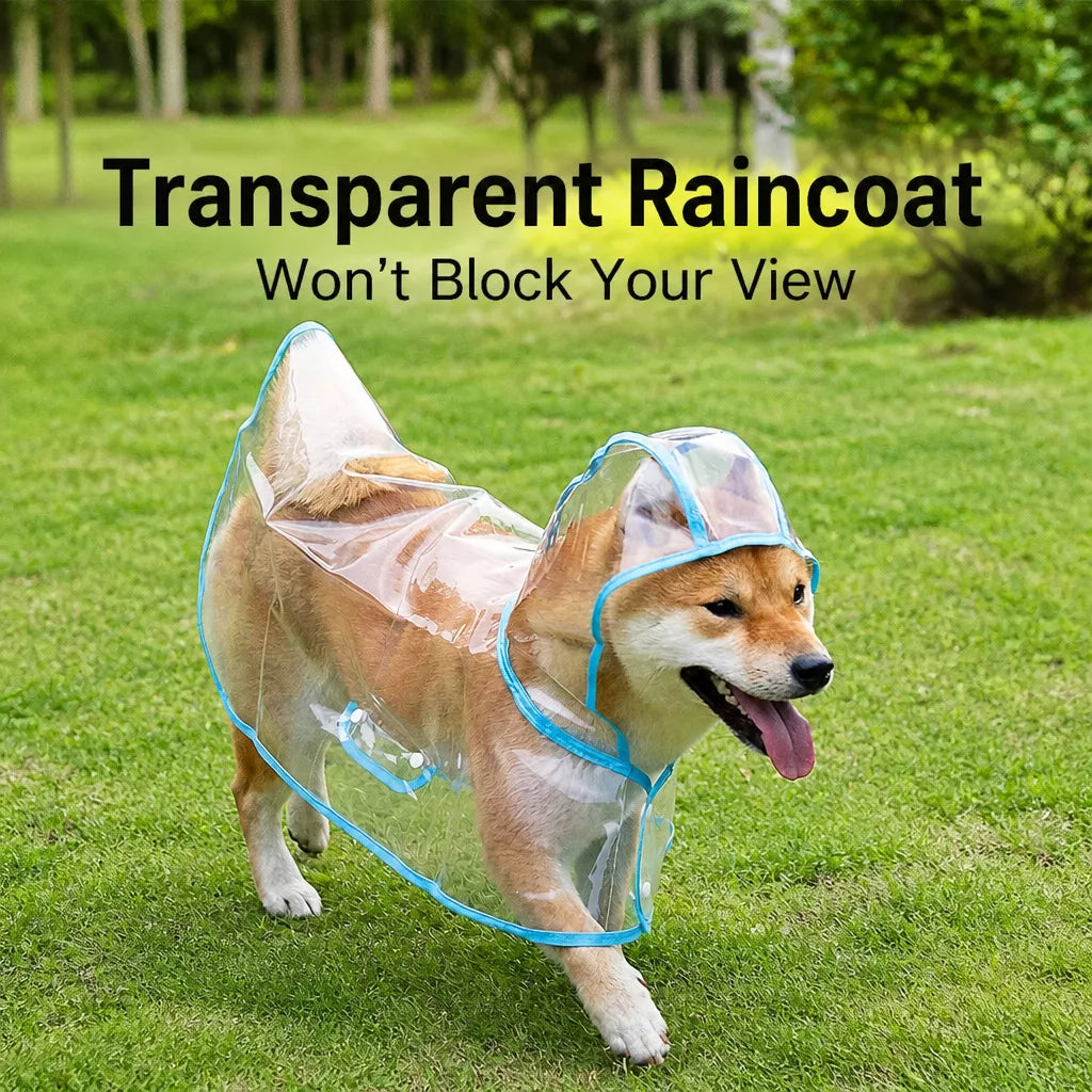 Transparent EVA Raincoat for Dogs