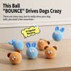 Squeaky Bouncy Ball Toy for Dogs