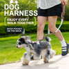 Adjustable Vest-Style Dog Harness and Leash