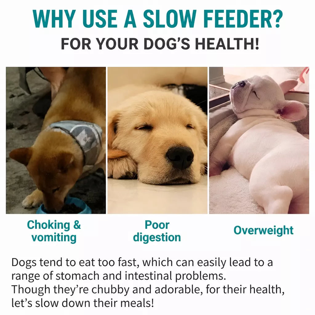 Silicone Slow Feeder Lick Mat for Dogs & Cats
