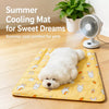 Plastic Pet Sleeping Mat for Dogs and Cats