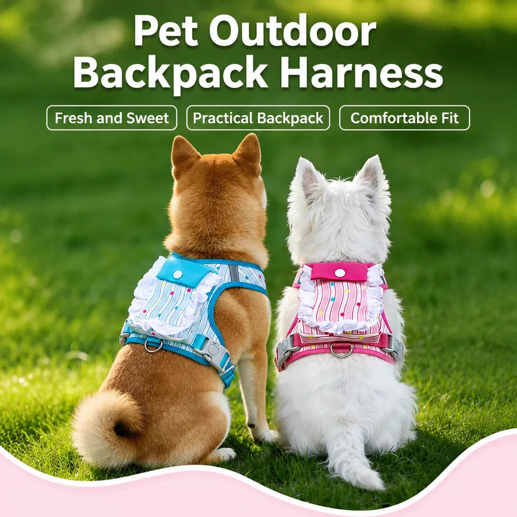 Vest-Style Harness and Leash Set for Small to Medium Dogs
