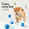 Interactive Squeaky Jumping Ball Dog Toy