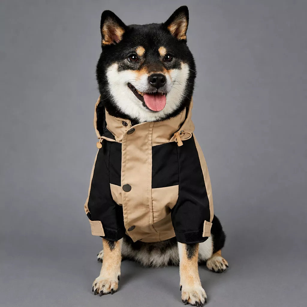 Dog Rain Jacket – Wind- and Water-Resistant Outdoor Coat