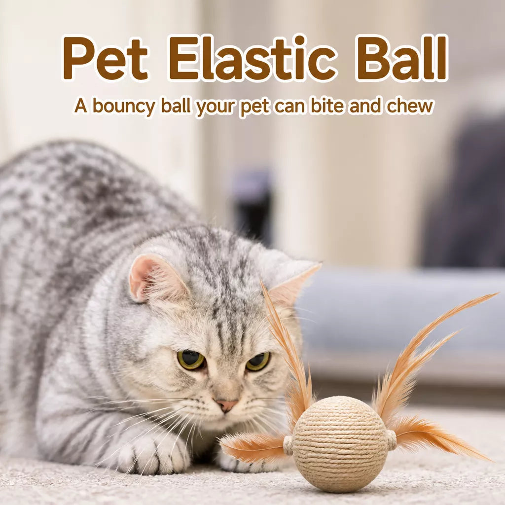 Cat Ball Toy with Feather Details