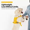 Lightweight Breathable Dog Harness and Leash