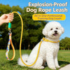 Heavy-Duty Polyester Slip Lead for Small and Medium Dogs