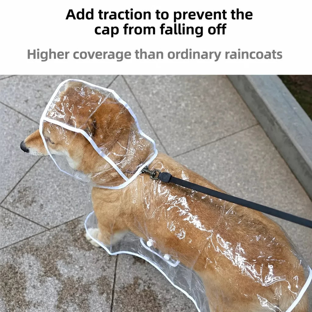 Transparent EVA Dog Raincoat with Hood