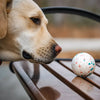 Floating Foam Ball Toy for Dogs