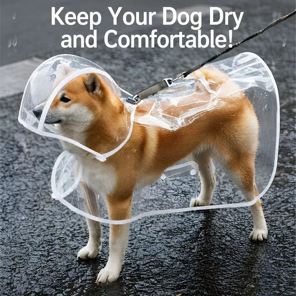 EVA Rain Poncho for Dogs