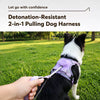 Pet Harness Vest with Leash