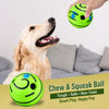 Vinyl Squeaky Dog Ball Toy