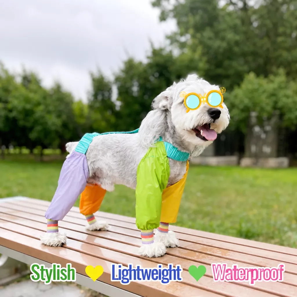 Four-Leg Dog Jumpsuit for Outdoor Wear