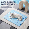Pet Foam Bed with Nylon Cover