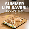 Flat Pet Bed Mat for Cats and Dogs