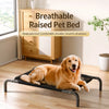 Elevated Mesh Dog Bed with Iron Frame