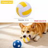 Vinyl Squeaky Dog Ball Toys for Small and Medium Dogs