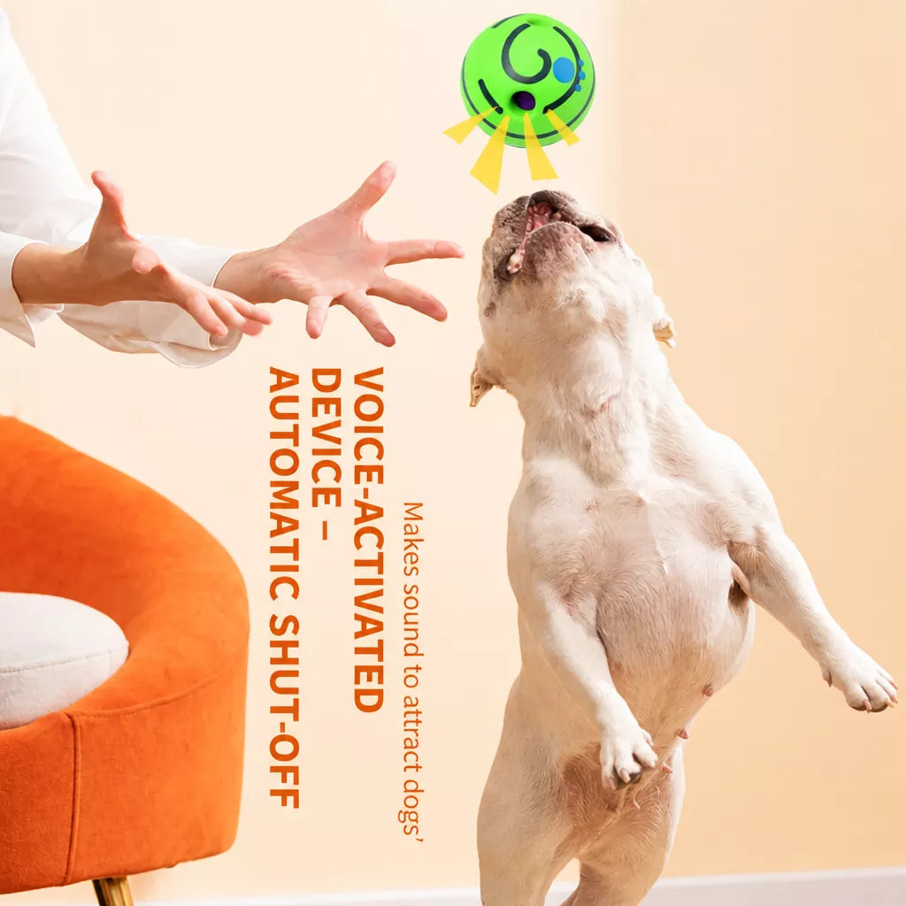 Interactive Squeaky Ball Dog Toy