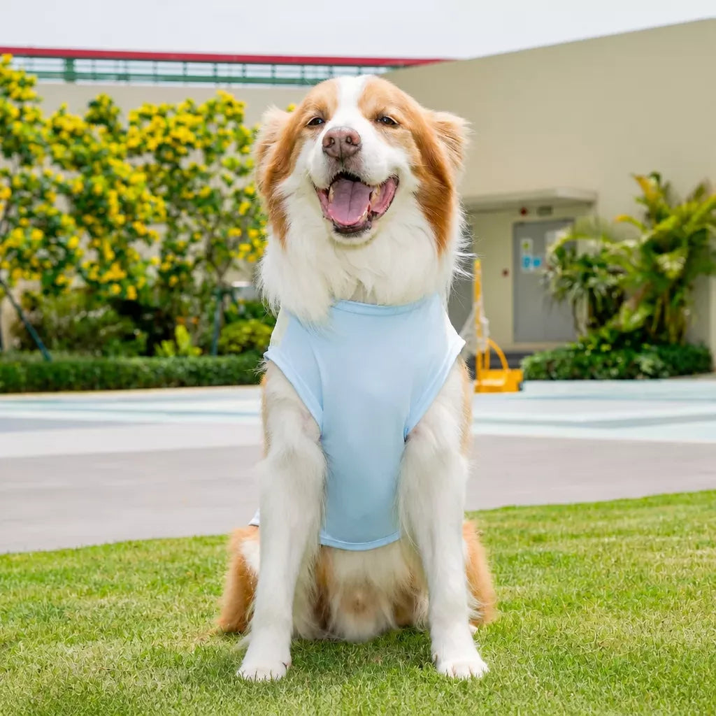 Lightweight Four-Leg Pet Shirt for Dogs & Cats