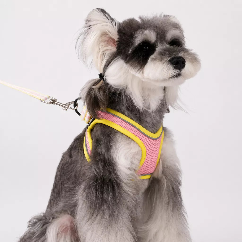 Adjustable Dog Harness with 4.6-ft Leash for Small Dogs