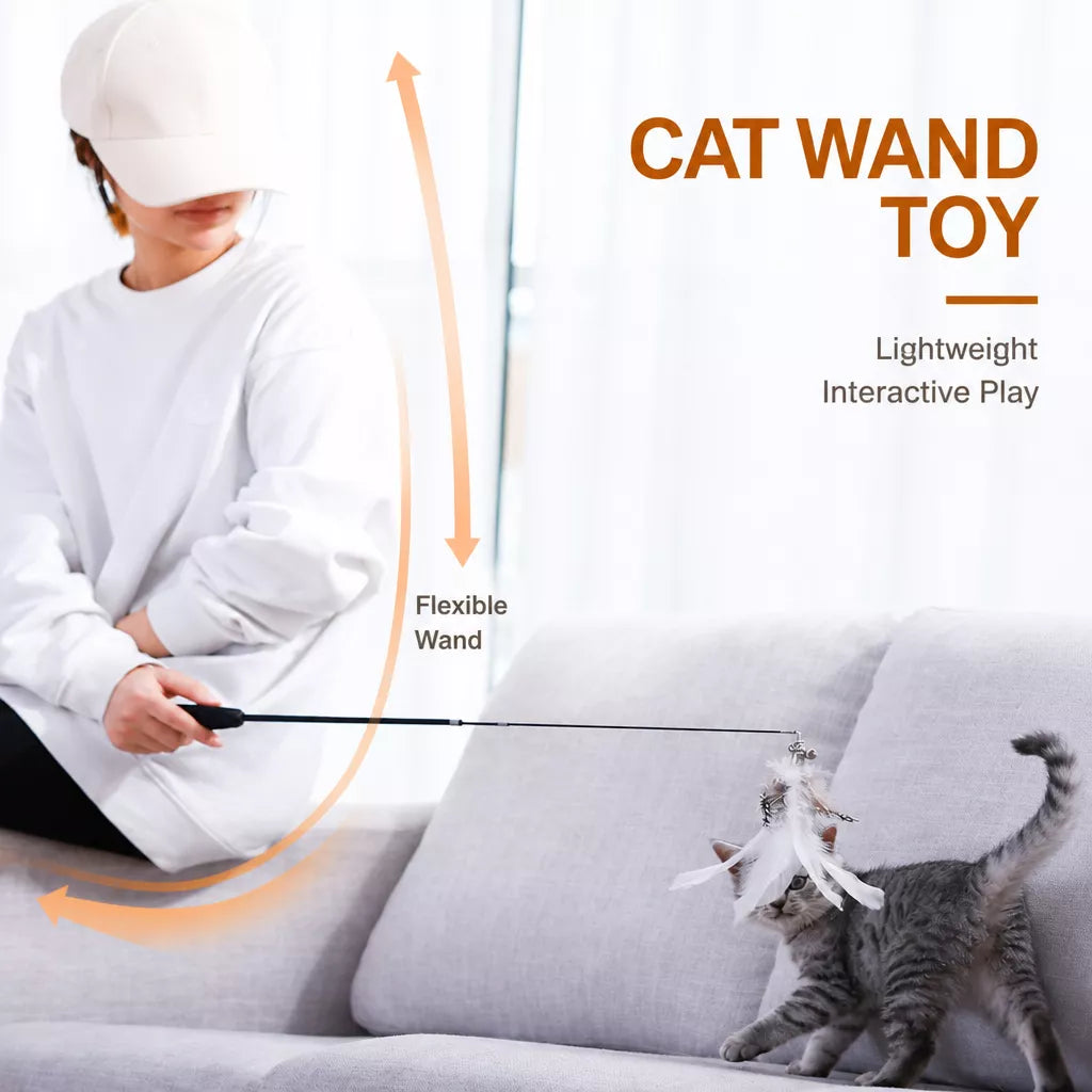 Cat Teaser Wand with Interchangeable Feather Attachments