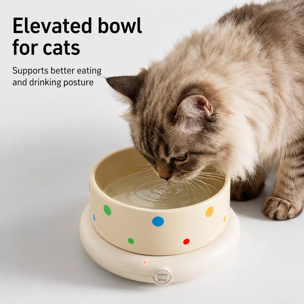 Ceramic Cat Water Bowl