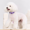 Faux Leather Dog & Cat Collar with Jewel Detail