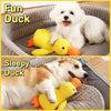 Plush Squeaky Dog Toys for Puppies, Small, Medium, and Large Dogs
