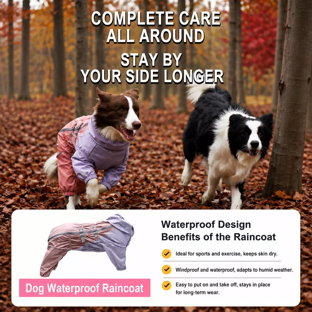 Four-Leg Dog Raincoat for Medium to Large Dogs