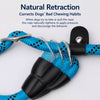 Reinforced Dog Training Leash