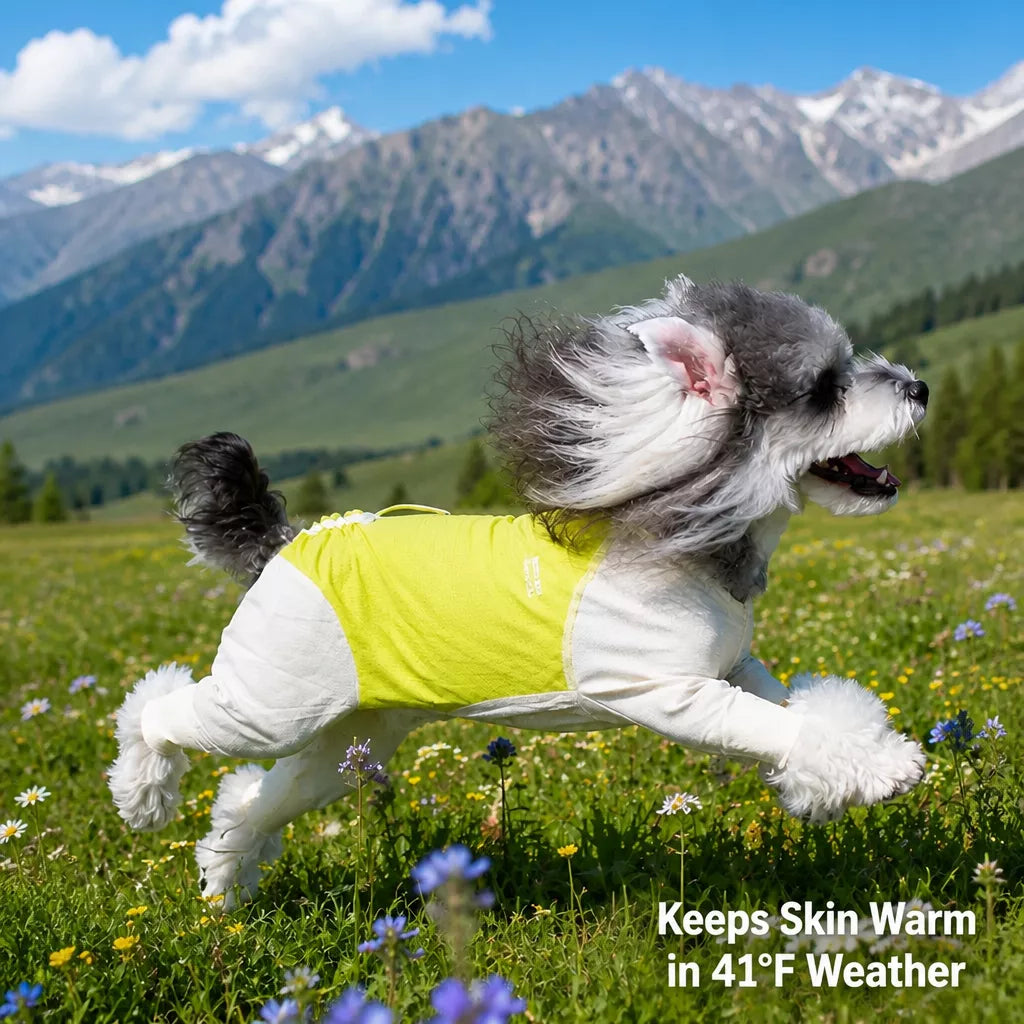 Lightweight Four-Legged Dog Summer Shirt