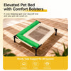 Elevated Pet Cot with Removable Washable Cover