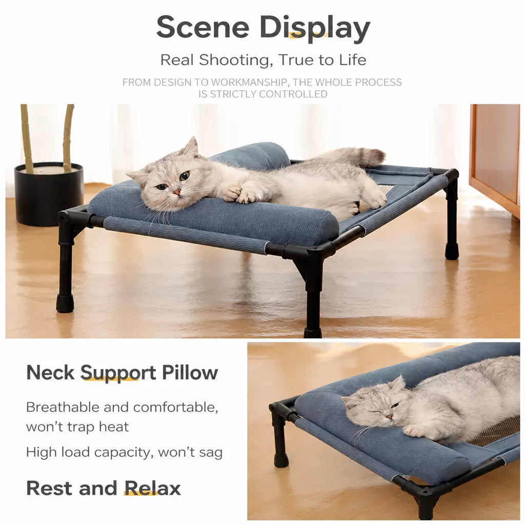 Elevated Pet Cot with Removable, Washable Cover