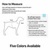 Nylon Round Rope Dog Leash for Small to Medium Dogs