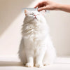 Stainless Steel Pet Grooming Comb for Cats & Dogs