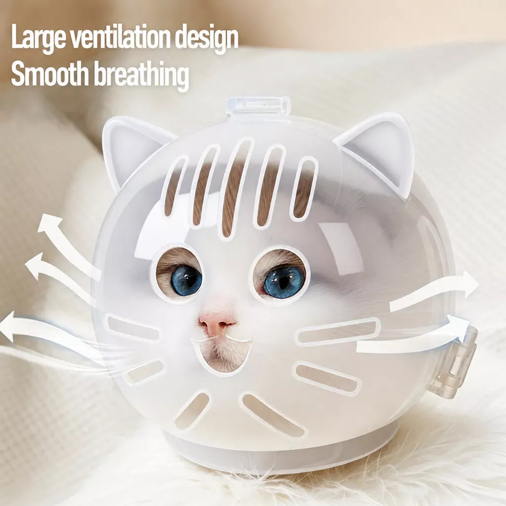 Clear Plastic Pet Recovery Cone for Cats