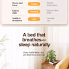 Portable Elevated Mesh Pet Cot Bed
