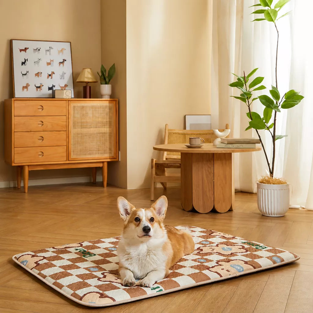Nylon Pet Mat Bed for Dogs and Cats