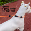 Nylon Rope Training Leash for Small to Medium Dogs